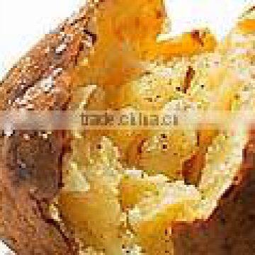 Baked Jacket Potato