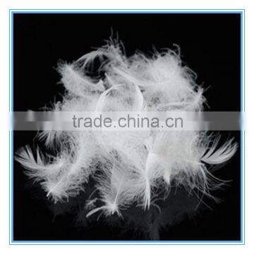 feather wholesale