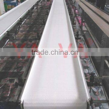 PP Belt Conveyor With Food Grade photo-3
