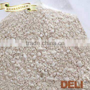 Professional Manufacturer Supplement Raw Rice Protein Powder photo-4