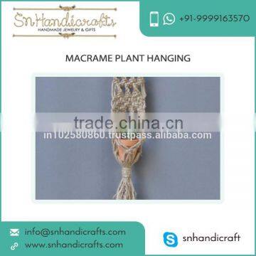 New Arrival Macrame Plant Hangers for Wall Decoration