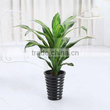 Dongli Artificial Dracaena plant exporter