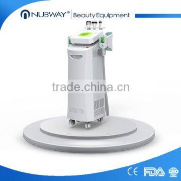 NEWS! Sales Promotion Professtional 2 Hand Pieces Cryolipolysis Vertical Fat Removing Cryolipolysis System photo-6