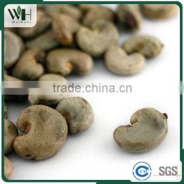 2016 Crop Dried Cashew in Shell photo-5