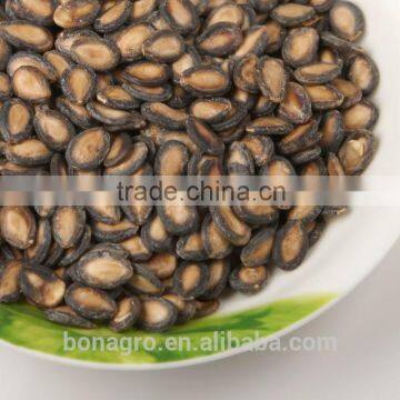 New crop Black watermelon seeds