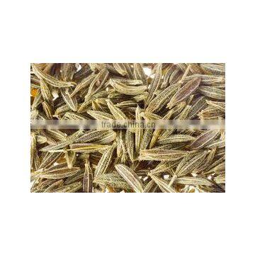 Indian Testy Whole Spices - Whole Large Cumin (Jeera) photo-3