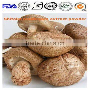 ISO 13 years factory Lentinus edodes Shitake mushroom extract