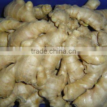 Fresh Air Dried Ginger photo-2