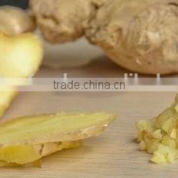 halal condiment,a balanced marinated ginger,Chinese famous brand,OEM