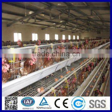 Automatic chicken layer cage for sale in Philippines