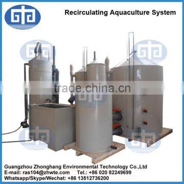 Customized Professional Recirculating Aquaculture Systems