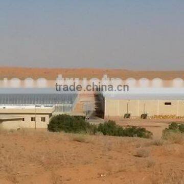 Greenhouses for Intensive Production photo-4