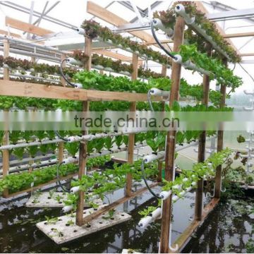 2016 Hot sale large hydroponic greenhouse