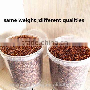 2.8 cm Dried Mealworm With FDA Certification photo-6