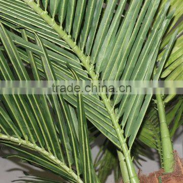 Palm Trees Canada is Popular Around the World Artificial Plastic Coconut Palm Tree photo-5