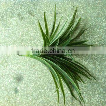 Home and Outdoor Garden Edging Christmas Decoration 60cm or 24inches Height Artificial Small Grass for Green Wall E04 1014 photo-2