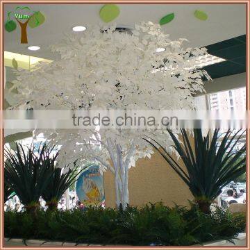 Artificial white ficus tree for indoor decoration