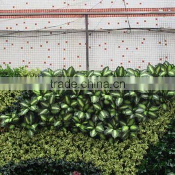 Fake Green Wall/artificial Green Wall Vertical Plant Wall