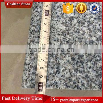 Hubei G603 Light Grey Stone Steps Risers Granite Stairs With Full Bullnose Design photo-4