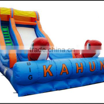 (HD-9406) Jumping Fish China Inflatable Slip Slide