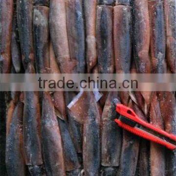 W/R Frozen Squid Argentina Illex Squid For Wholesale