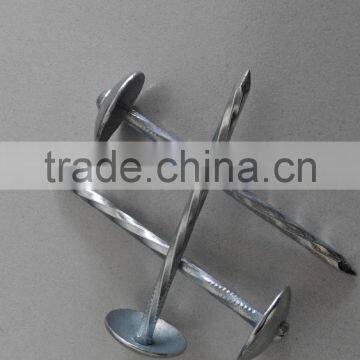 Galvanized Roofing Nails/umbrella Roofing Nails/roofing Nails With Washer photo-3