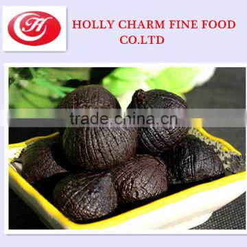 Vietnamese High Quality Black Garlic--HC Company