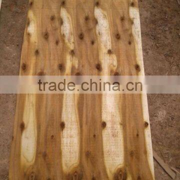 VIETNAM ACACIA VENEER