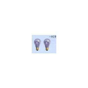 China (Mainland) Reptile Bulb
