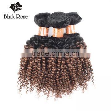 8A Perfect 100% Unprocessed Kinky Curly Virgin Hair, Wholesale Unprocessed Virgin Malaysian Hair