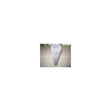 Galvanized Poultry Netting Fencing/Chicken Houses/Chicken Runs