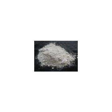 Repair Lacquer Interior Wall Putty For Mosaic Tile , Non Toxic