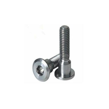 Titanium Fastener