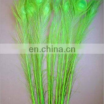 Natural 30-35cm peacock feather