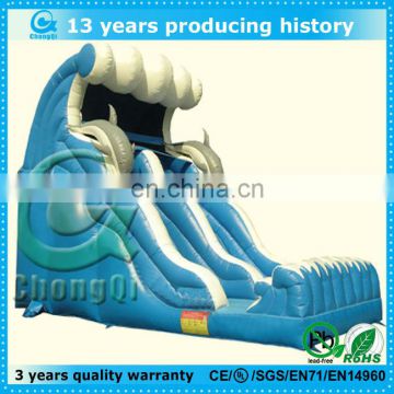 cheap backyard inflatable water slides