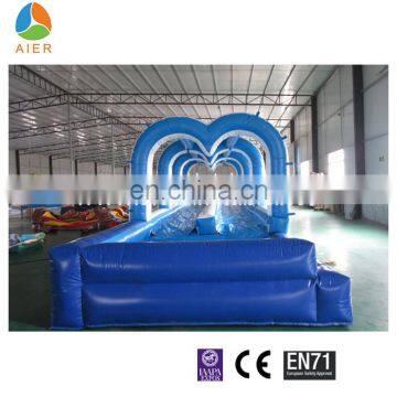 Double Lane Inflatable Water Slide, Dolphin Inflatable Water Slides, Ocean Theme Water Slide photo-3