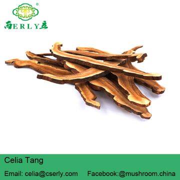 Sliced Reishi Mushroom photo-5