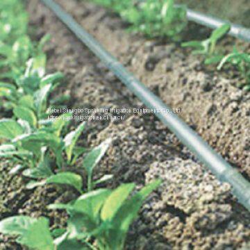 Drip Irrigation