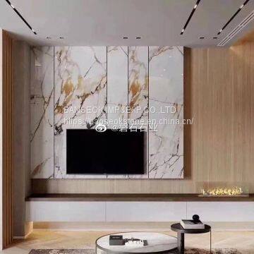 Calacatta Gold Marble for living room