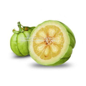 Pure HCA 50% 60% Weight Loss Body Slimming Garcinia Cambogia Extract Powder