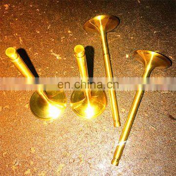 Auto Parts Factory Supply 4JJ1 4BD1 4JB14JA1 4HK1 4LE1 4LE2 4BG1 4JG2 for Isuzu 4 Cyls Supertech Race Discounted Engine Valves