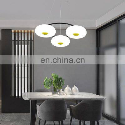 Home hotel decor pendant lamp