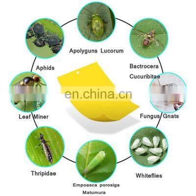 Double Sided Agriculture Helper Yellow Sticky Insect Glue Trap For Mosquito White Flies Aphids Leaf Miner