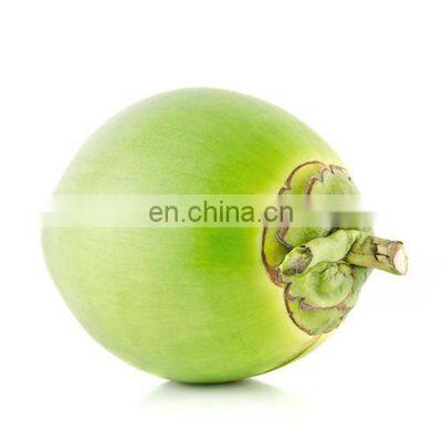 Coconut Vietnam High Quality Competitive Price photo-5