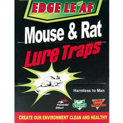 Strong Adhesive Pest Control Cheap 8002 Large Size Mouse Glue Trap Paper Board Notebook