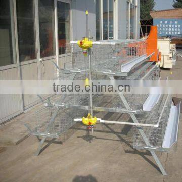 cheap price automatic feeding A type hot galvanized & electric galvanzied chicken cage for sale chicken cage