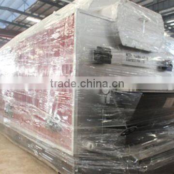 Factory Price and Good Quality Horizontal Water Tube Coal Fired Hot Water Boiler For Hotel