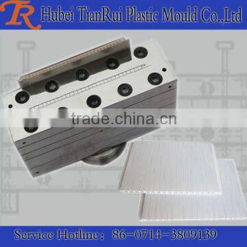 Subboard Plastic Ceiling Panel Extrusion Mould Die Huangshi