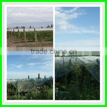 Durable Anti-hail Net,corrosion Proof Netting,woven Fabric Net photo-6