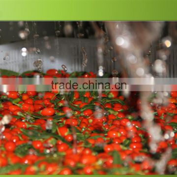 No pesticide residue gojiberry with good price